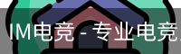 IM电竞